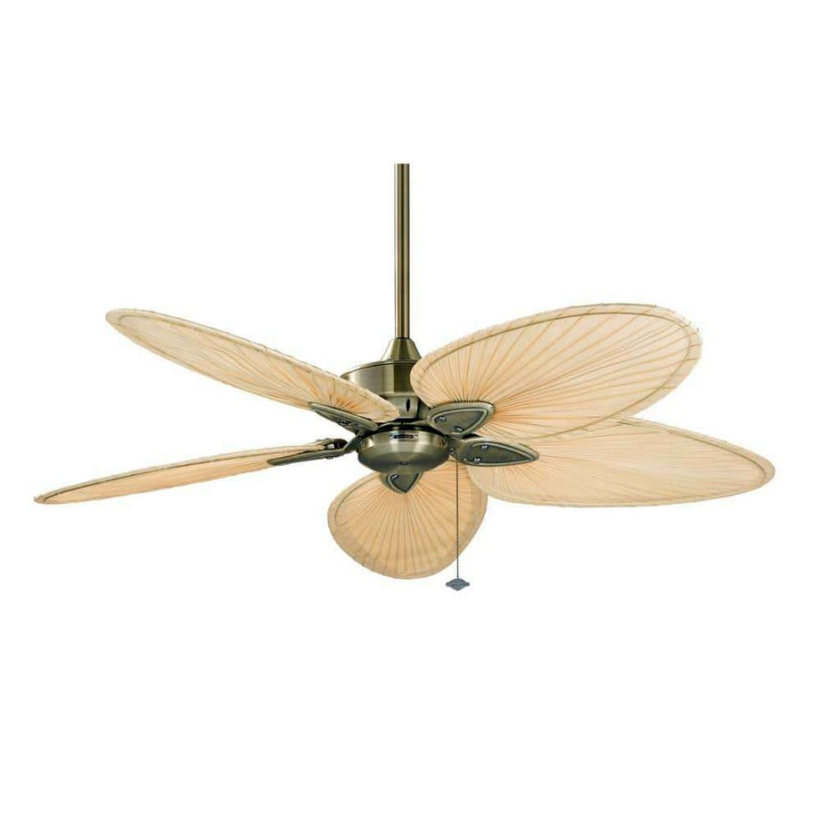 Ceiling Fans * | Windpointe 52 In. Antique Brass Ceiling Fan With Natural Narrow Oval Blades By Fanimation